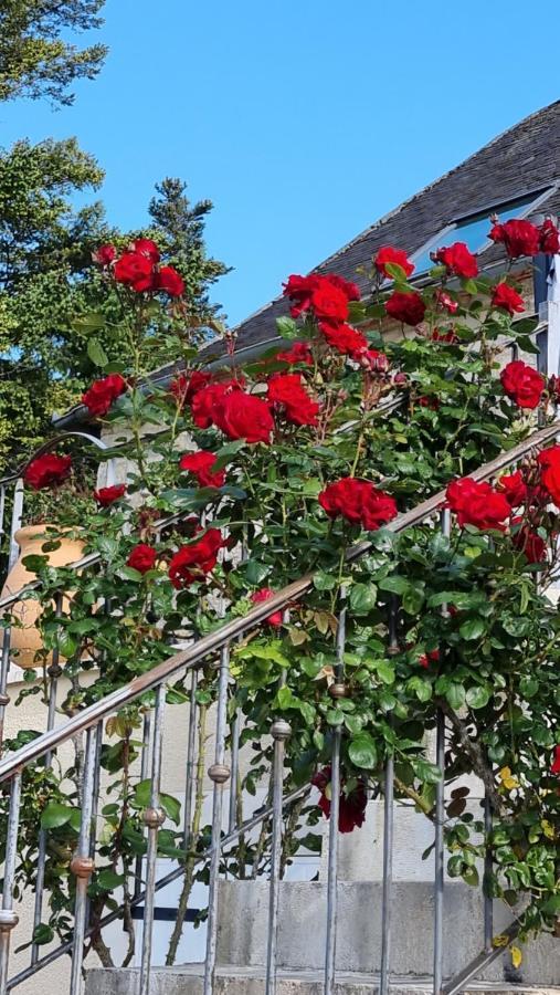 Domaine La Garenne Bed and Breakfast Reilhaguet Εξωτερικό φωτογραφία